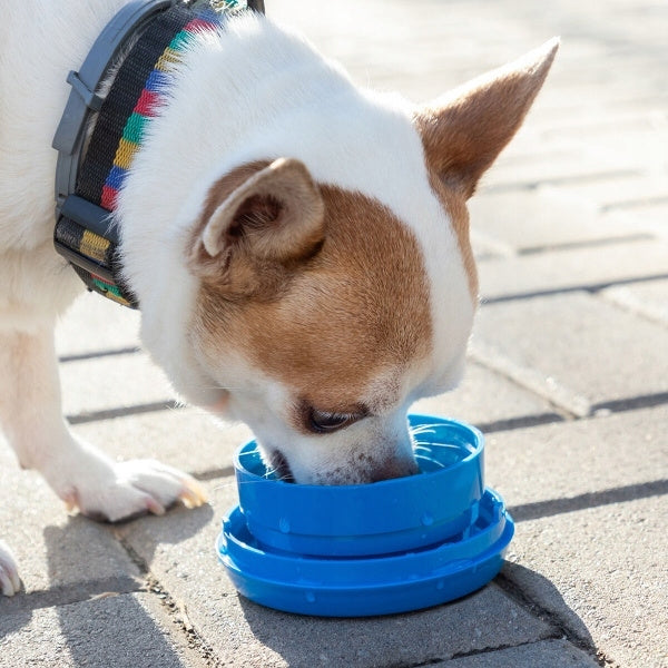 Automatyczna smycz dla psa 6 W 1 compet InnovaGood