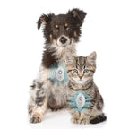 Brelok ultradźwiękowe urządzenie przeciw kleszczom petrep InnovaGoods