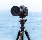 K&f concept K254C2 regulowany statyw 54 do 162CM tripod głowica kulowa 360°