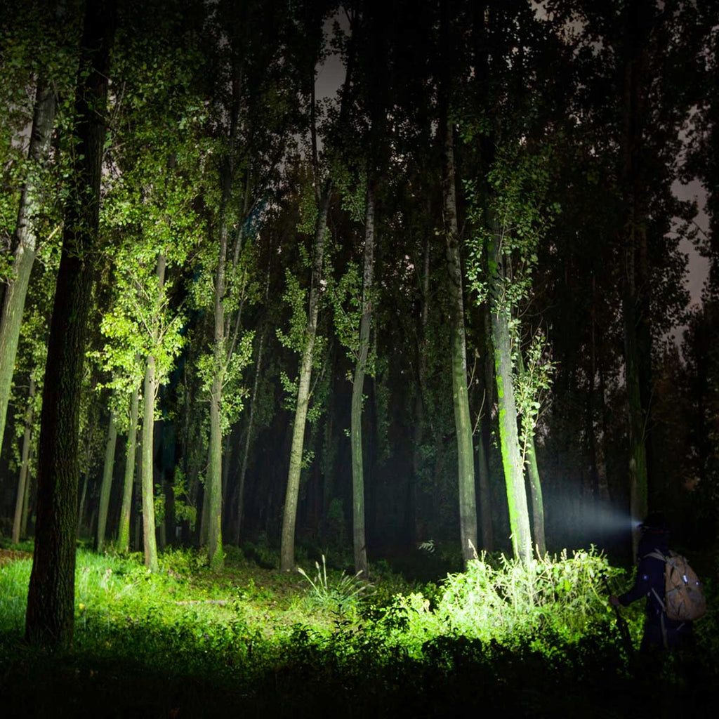 Latarka czołowa Olight Perun 2 niebieska 2500lm 166m 10 dni