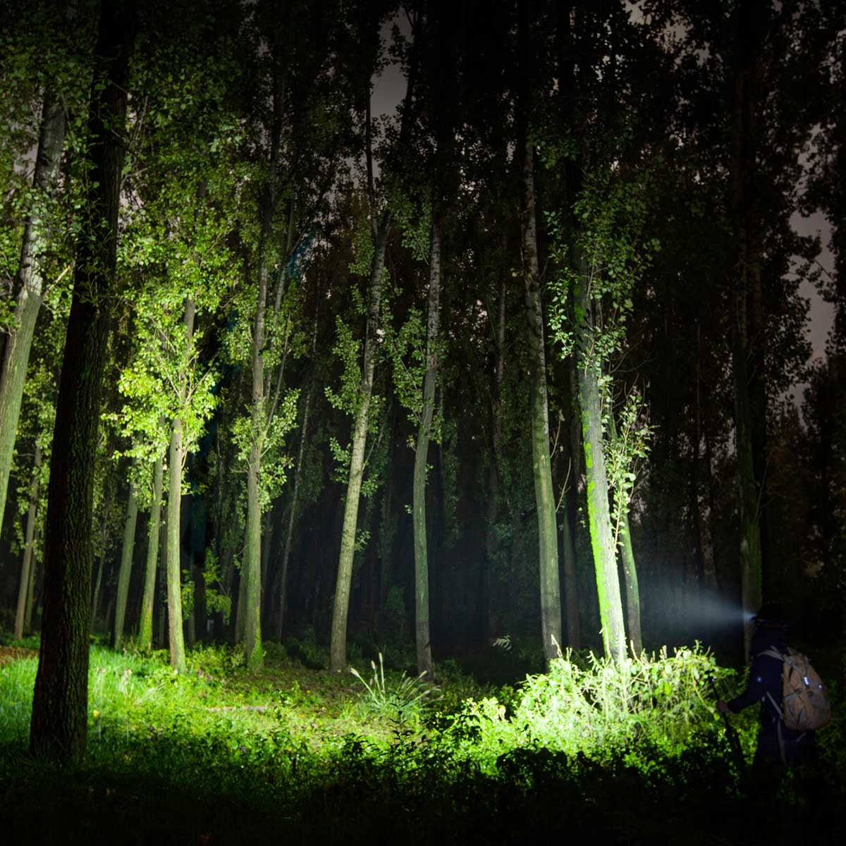 Latarka czołowa Olight Perun 2 niebieska 2500lm 166m 10 dni