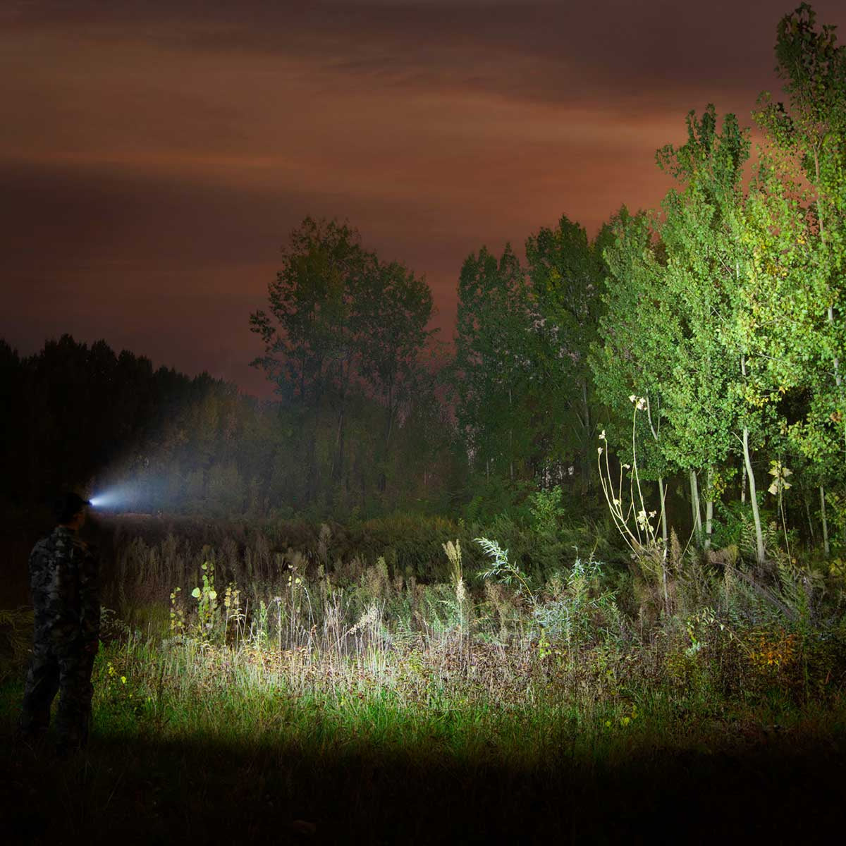 Latarka czołowa Olight Perun 2 niebieska 2500lm 166m 10 dni