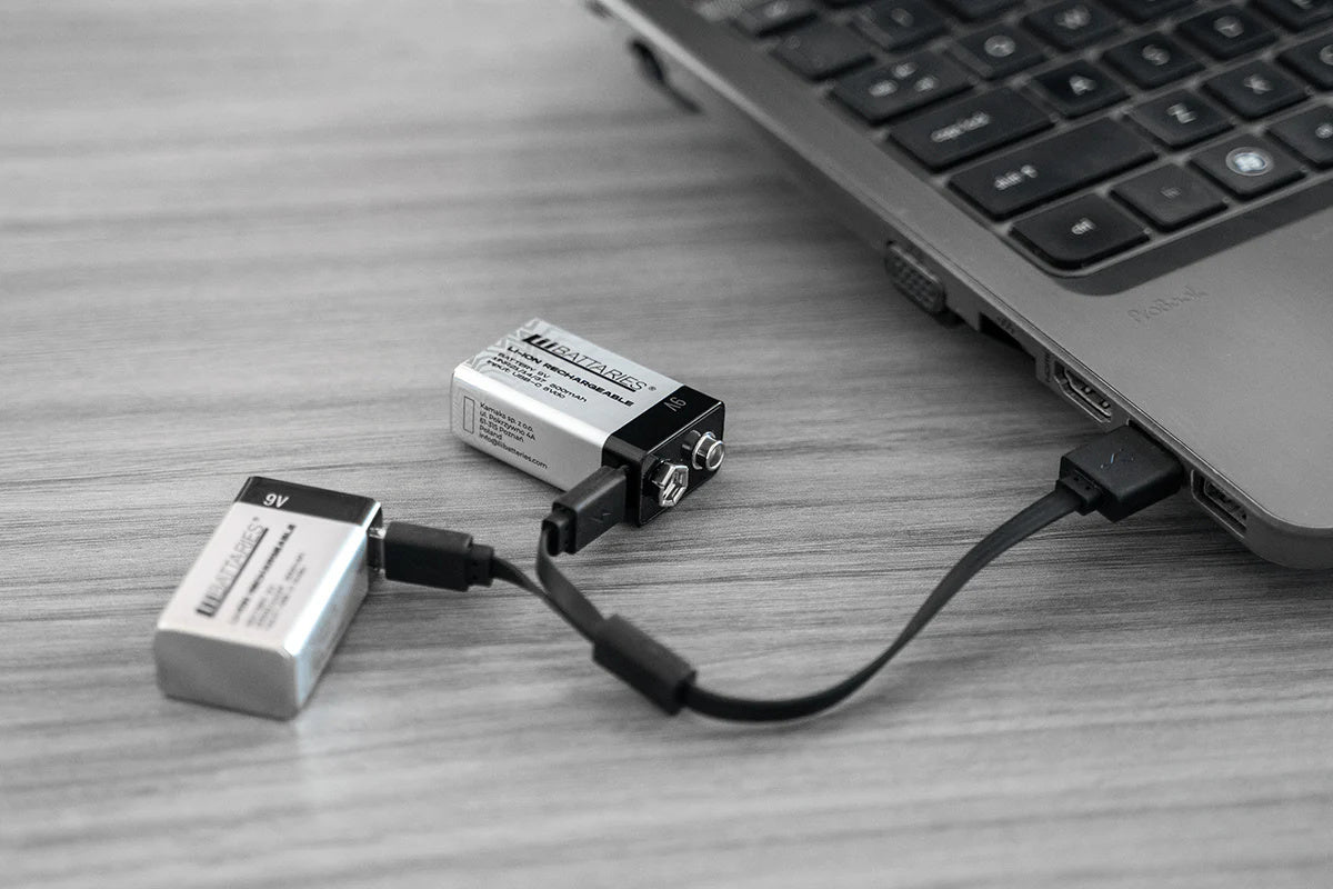 LiiBattaries mocny akumulator bateria litowo-jonowa 9V USB-C 2szt 500mAh 9V