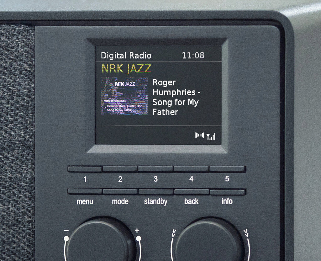 PINELL supersound 201 radio sieciowo-bateryjne DAB+, FM