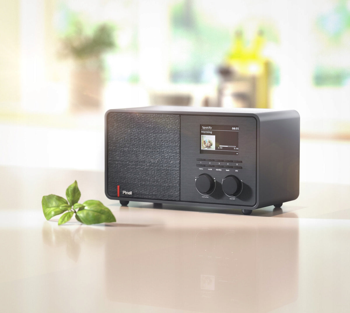 PINELL supersound 301 radio sieciowo-bateryjne DAB+, FM, Wi-Fi