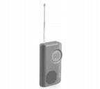 Przenośne radio JVC RA-E311B AM/FM minijack zasilanie Z baterii antena