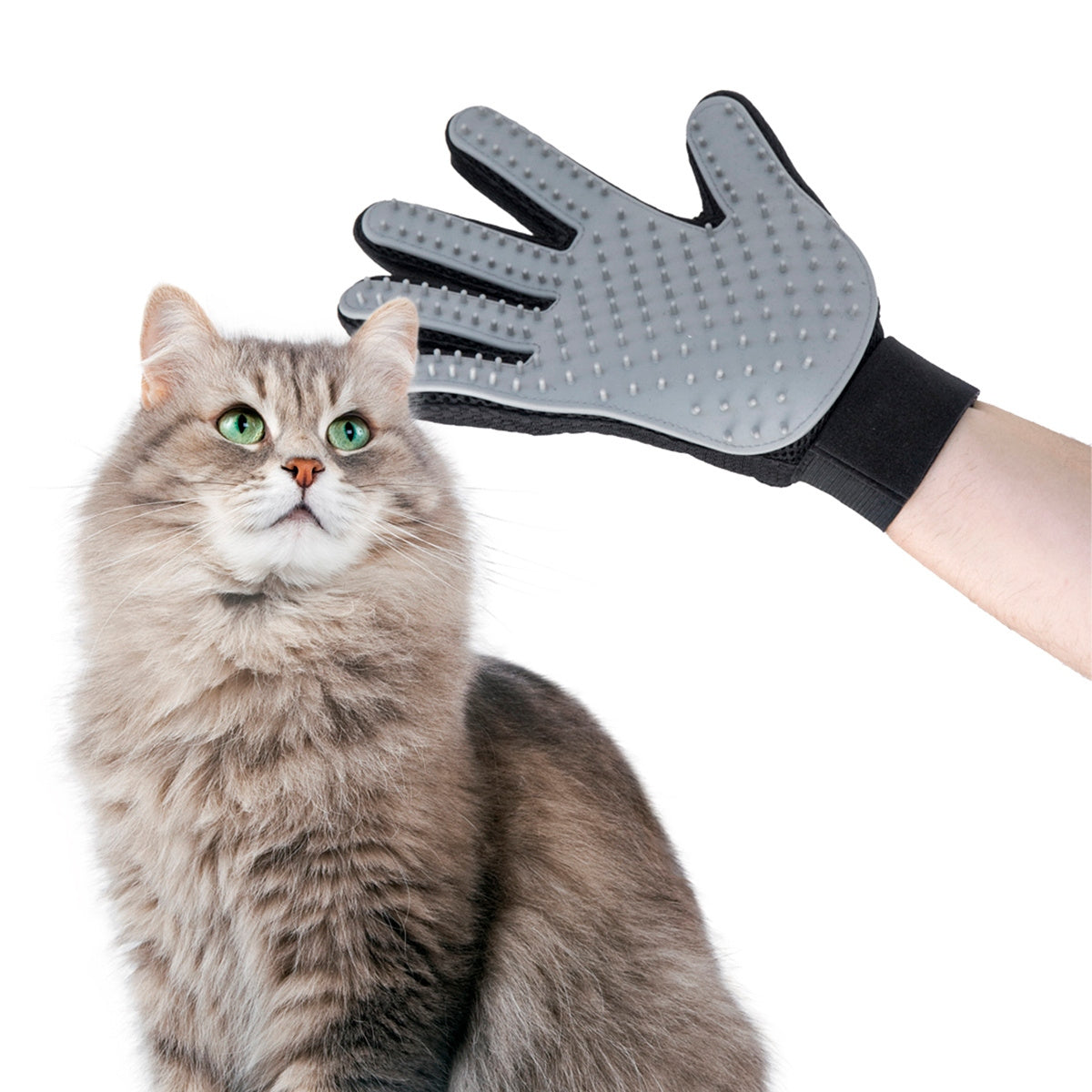 Rękawica i Masowania do czesania InnovaGoods Pets prawa Zwierząt Relpet
