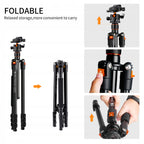 Statyw fotograficzny 230cm k&f K234A1+BH-28L głowica kulowa tripod