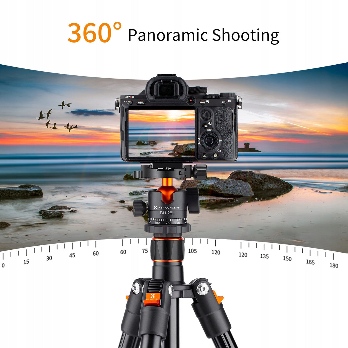 Statyw fotograficzny 230cm k&f K234A1+BH-28L głowica kulowa tripod