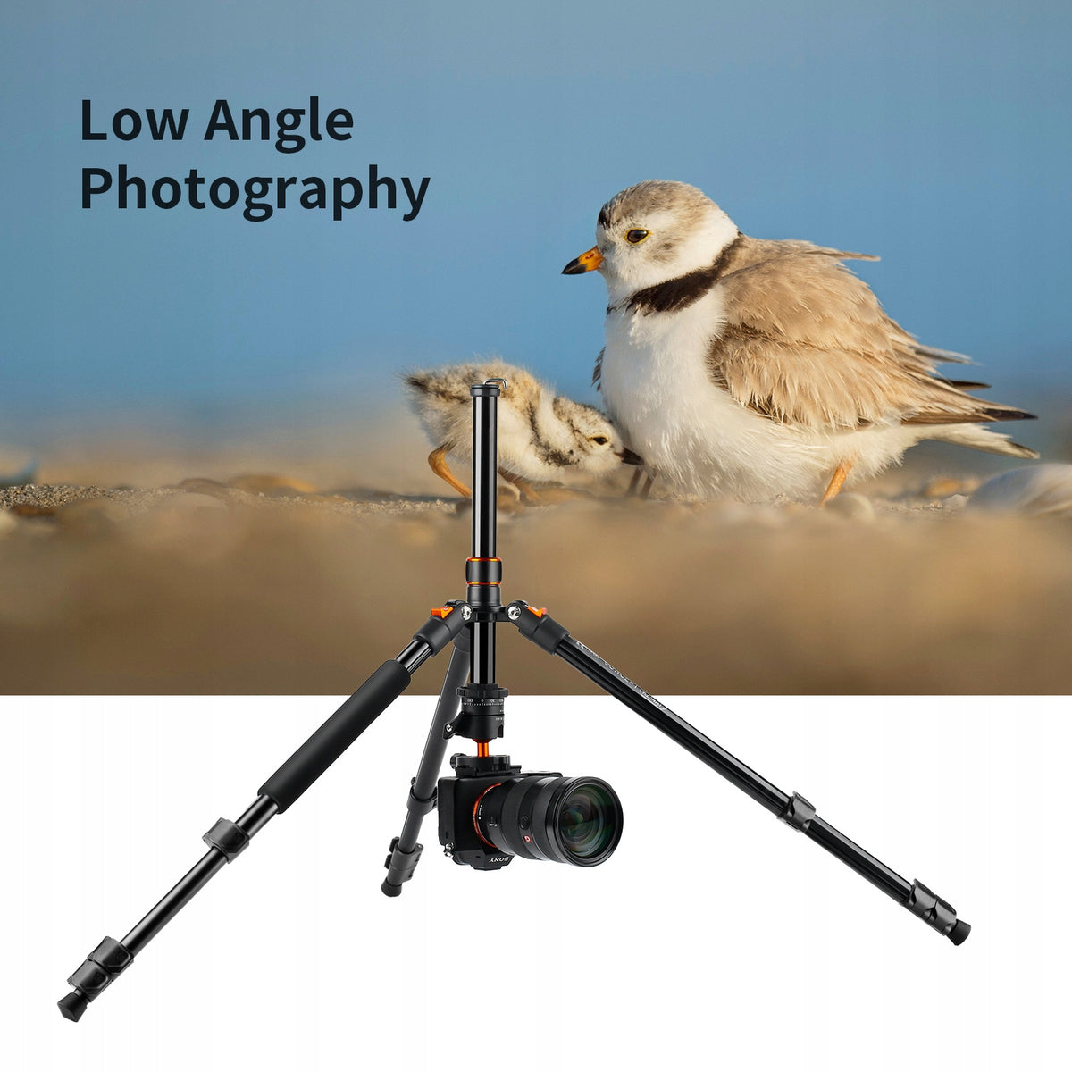 Statyw fotograficzny 230cm k&f K234A1+BH-28L głowica kulowa tripod