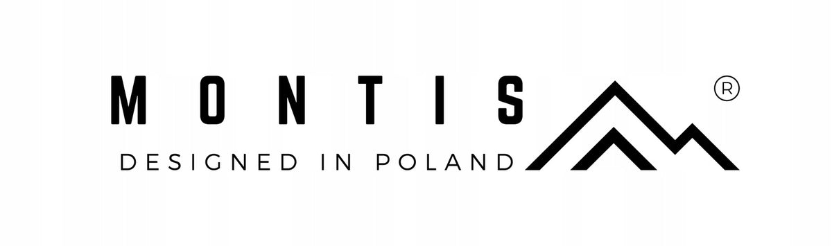 Wtyczka płaska prosta wtyk sieciowy 2P WT-1 2,5A IP20 czarny