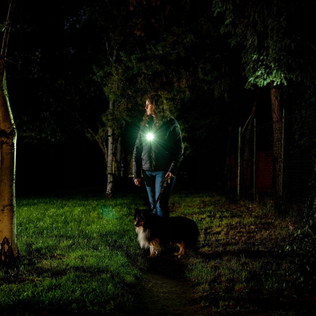 Latarka akumulatorowa taktyczna wielofunkcyjna EDC Olight Oclip Pro 500 lm