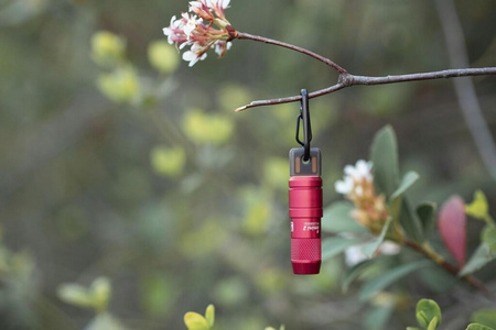 Latarka miniaturowa Olight iMini2 czerwona 50 lm LED