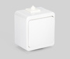 Wyłącznik instalacyjny zwierny światło/dzwonek n/t 10A 250V WNT-6/7S Montis